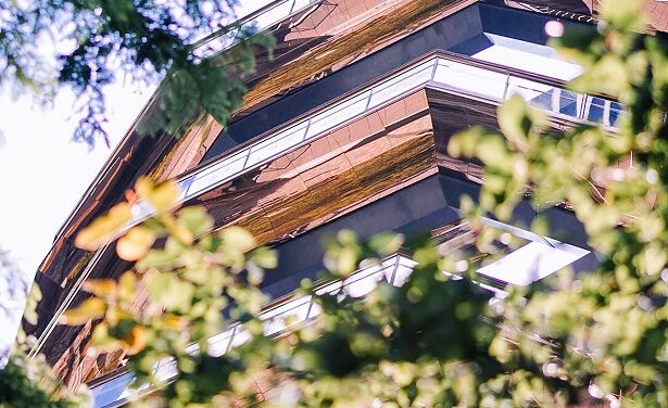 Comment annuler la résolution décidant du remplacement des arbres morts dans une copropriété ?