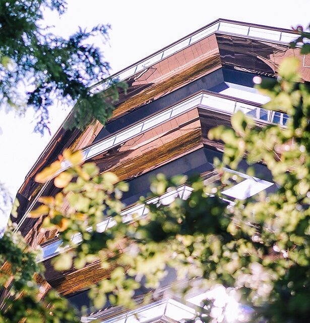 Comment annuler la résolution décidant du remplacement des arbres morts dans une copropriété ?
