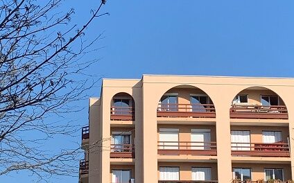 Les résolutions d’une assemblée de copropriétaires ne peuvent pas avoir plusieurs objets ou doivent faire l’objet de résolutions distinctes