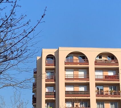 Les résolutions d’une assemblée de copropriétaires ne peuvent pas avoir plusieurs objets ou doivent faire l’objet de résolutions distinctes